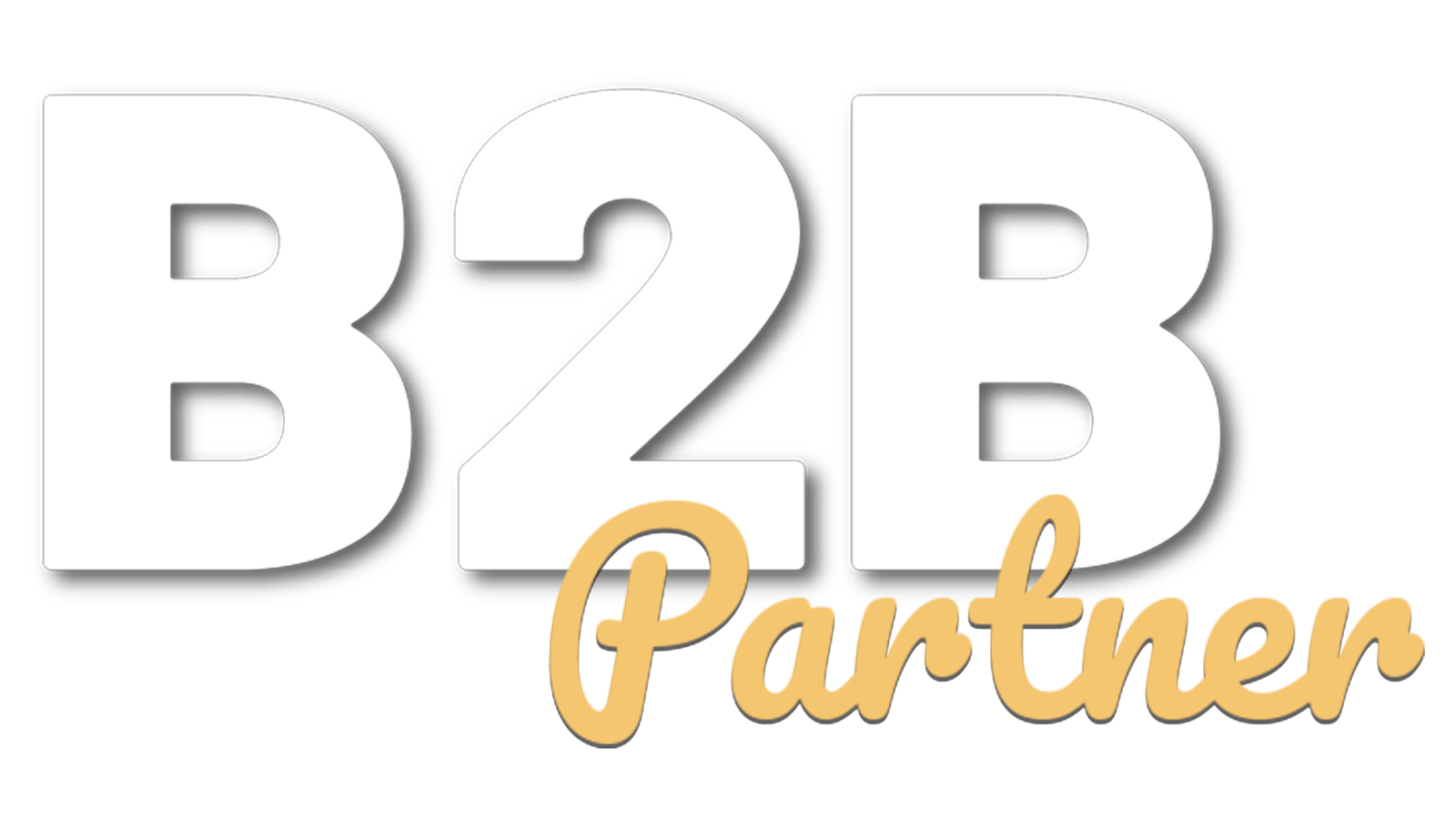 B2B Partner
